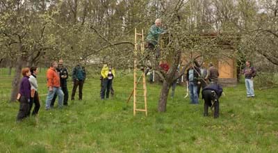 Ausbildung "zertifizierter Landschaftsobstbaumpfleger"